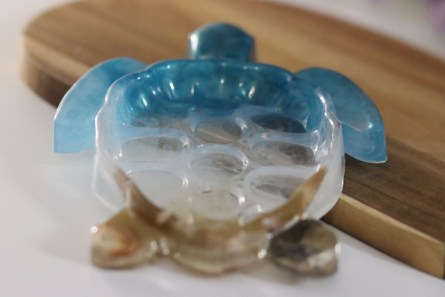 Schale Epoxidharz Schildkröte Meereslook